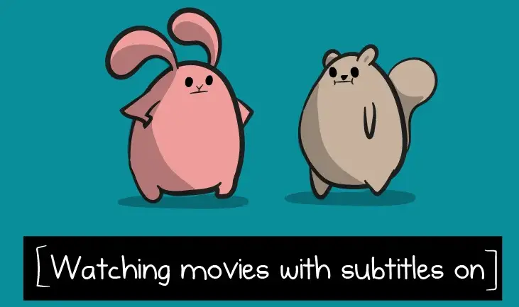 What Are Subtitles