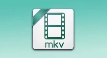 How to Automatically Extract Subtitles From MKV (Super Fast And Easy)
