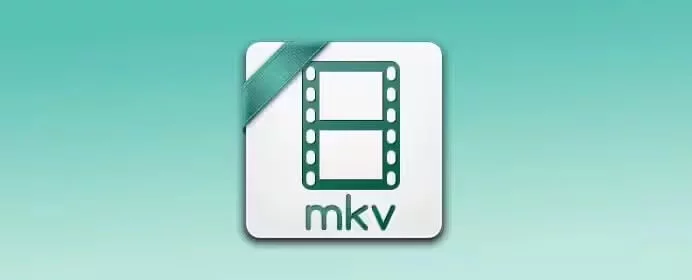 What-is-an-MKV-file-and-its-subtitle-track
