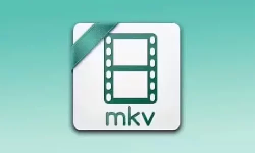 What-is-an-MKV-file-and-its-subtitle-track